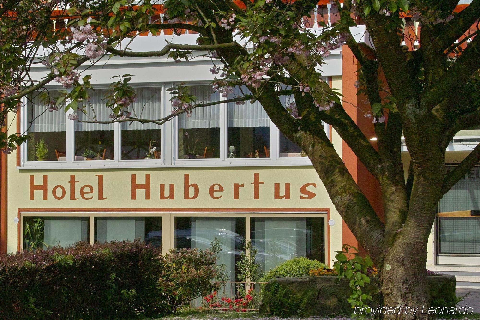 Отель Akzent Hubertus Бад-Петерсталь-Грисбах Экстерьер фото